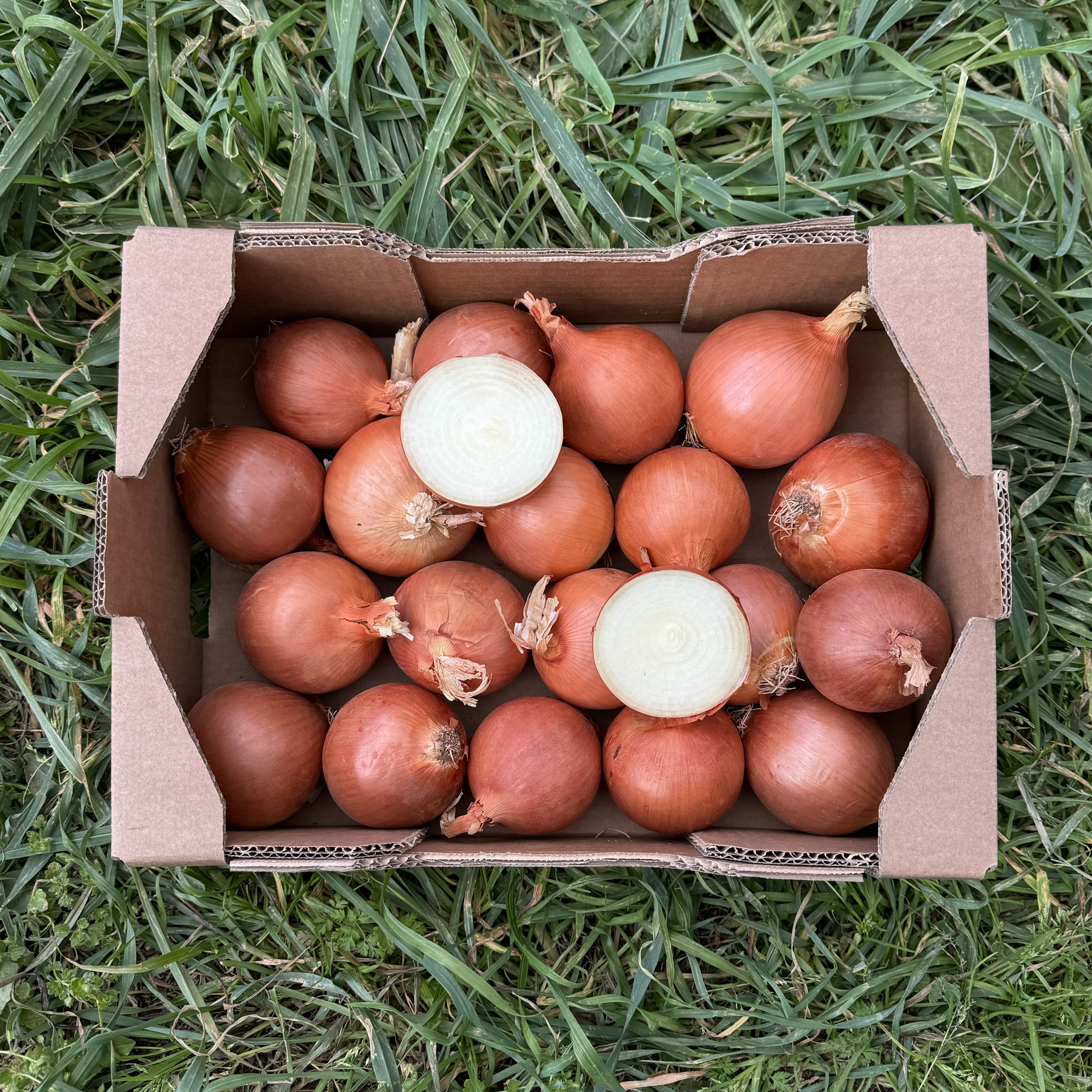 Caja de regalo llena de productos frescos y saludables